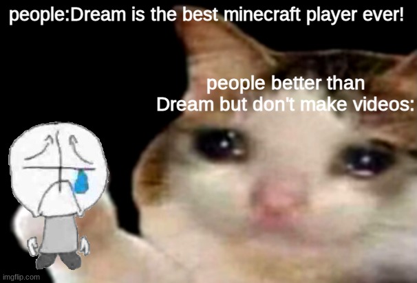 dream could be more garbage than most people who don't make videos. place your theory in the comment | people:Dream is the best minecraft player ever! people better than Dream but don't make videos: | image tagged in sad cat thumbs up,dream | made w/ Imgflip meme maker