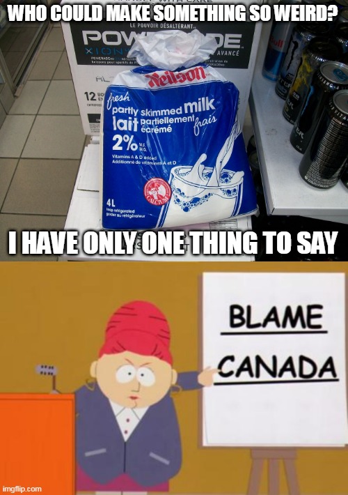 WHO COULD MAKE SOMETHING SO WEIRD? I HAVE ONLY ONE THING TO SAY | image tagged in blame canada | made w/ Imgflip meme maker