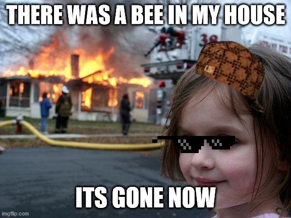 Disaster Girl | THERE WAS A BEE IN MY HOUSE; ITS GONE NOW | image tagged in memes,disaster girl | made w/ Imgflip meme maker