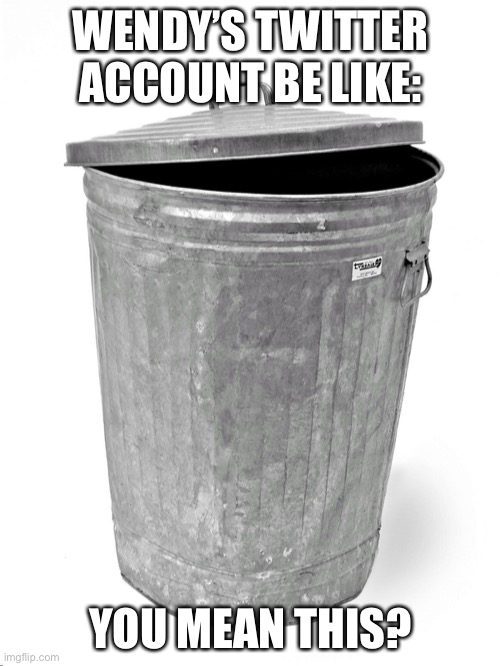 Trash Can | WENDY’S TWITTER ACCOUNT BE LIKE: YOU MEAN THIS? | image tagged in trash can | made w/ Imgflip meme maker