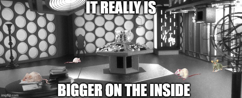 ▬▬ comment specific to meme of tardis-like wall space for mice | IT REALLY IS BIGGER ON THE INSIDE | image tagged in dr who,comment | made w/ Imgflip meme maker