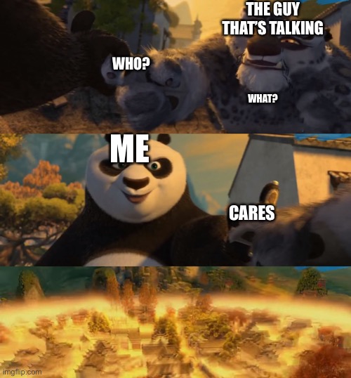 no one asked you | THE GUY THAT’S TALKING; WHO? WHAT? ME; CARES | image tagged in kung fu panda counterpt | made w/ Imgflip meme maker