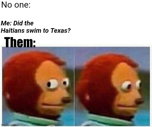Swim Forrest, swim! | No one:; Me: Did the Haitians swim to Texas? Them: | image tagged in memes,monkey puppet | made w/ Imgflip meme maker
