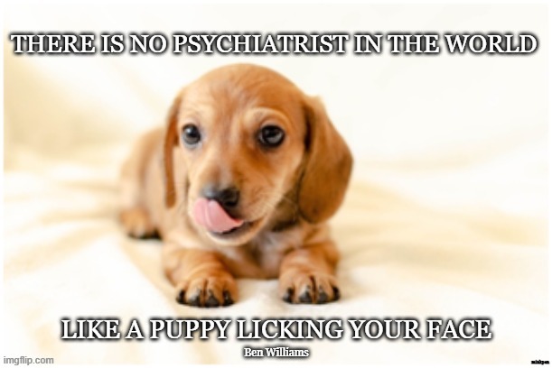 Puppy |  LIKE A PUPPY LICKING YOUR FACE; Ben Williams | image tagged in vegan,dog,puppy,psychiatrist,animal | made w/ Imgflip meme maker