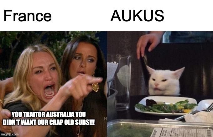 France cries about dat sub deal | France; AUKUS; YOU TRAITOR AUSTRALIA YOU DIDN'T WANT OUR CRAP OLD SUBS!!! | image tagged in memes,woman yelling at cat,france,australia,submarine | made w/ Imgflip meme maker