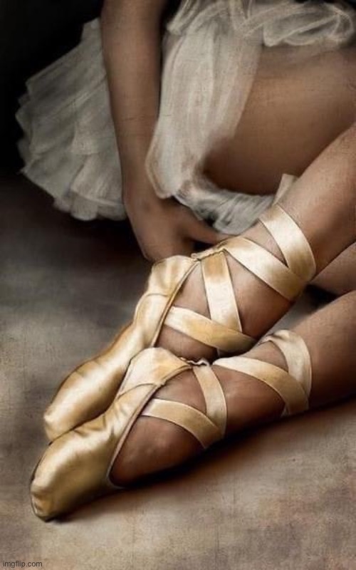 Image Tagged In Ballerina Shoes Imgflip