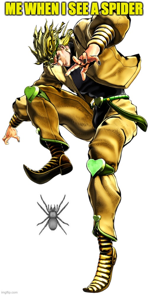 dio see spodr | ME WHEN I SEE A SPIDER | image tagged in jjba | made w/ Imgflip meme maker