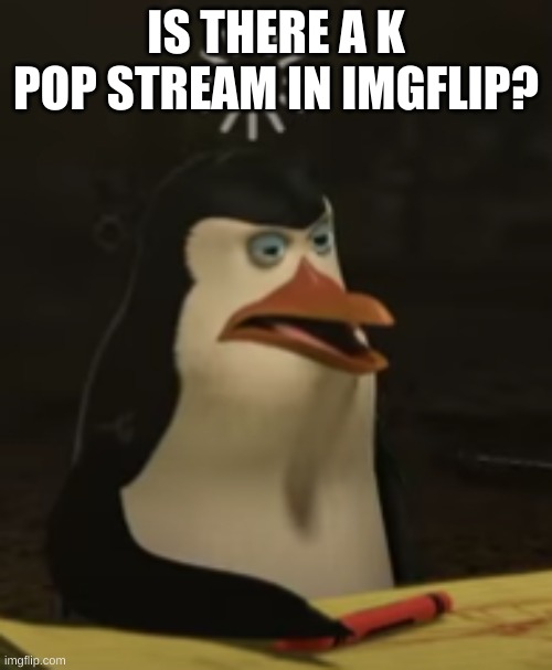 just asking | IS THERE A K POP STREAM IN IMGFLIP? | image tagged in derp | made w/ Imgflip meme maker