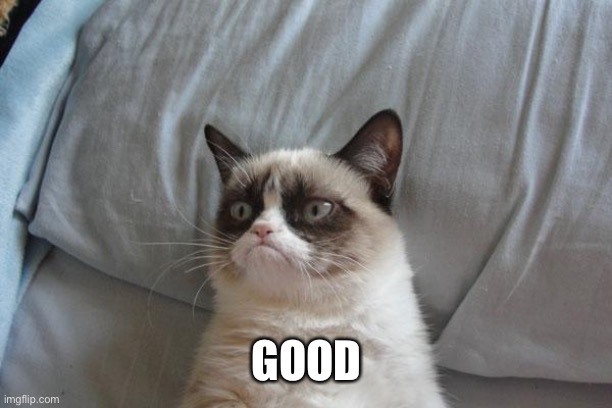 Grumpy Cat Bed Meme | GOOD | image tagged in memes,grumpy cat bed,grumpy cat | made w/ Imgflip meme maker