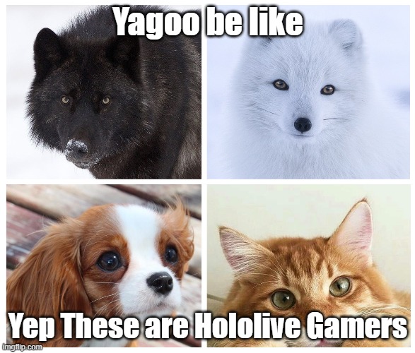man | Yagoo be like; Yep These are Hololive Gamers | image tagged in yagoo,hololive | made w/ Imgflip meme maker