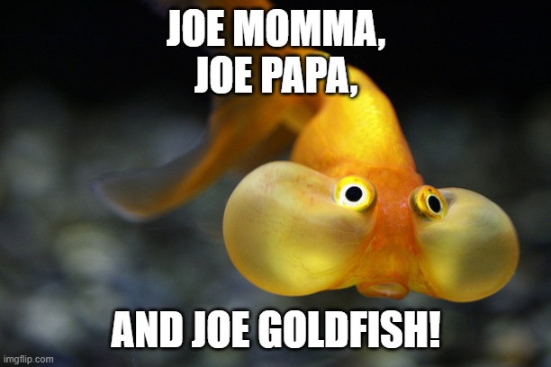 hold your breath goldfish | JOE MOMMA,
JOE PAPA, AND JOE GOLDFISH! | image tagged in hold your breath goldfish | made w/ Imgflip meme maker