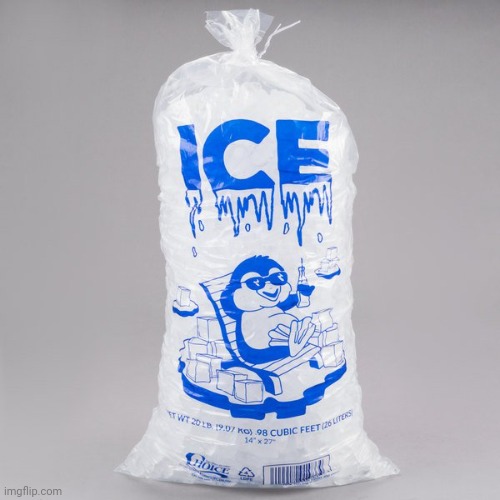 My Custom Template: Bag of ice | image tagged in bag of ice,custom template,templates,template | made w/ Imgflip meme maker