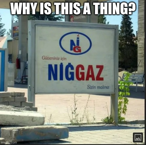 NİGGAZ | WHY IS THIS A THING? | image tagged in n ggaz | made w/ Imgflip meme maker