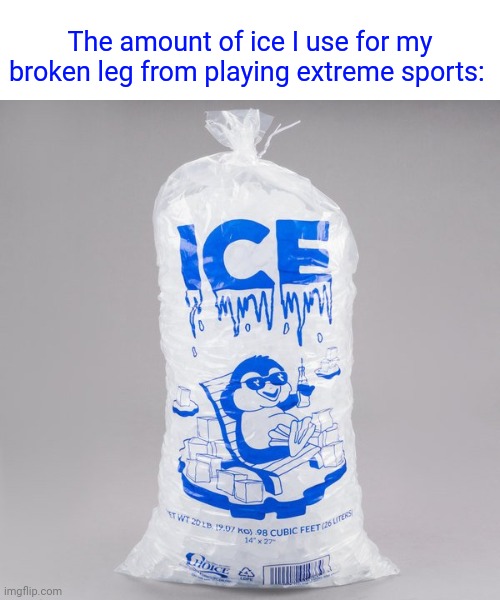 Broken leg | The amount of ice I use for my broken leg from playing extreme sports: | image tagged in bag of ice,memes,meme,ice,broken,leg | made w/ Imgflip meme maker
