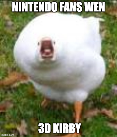 3D KIRBY | NINTENDO FANS WEN; 3D KIRBY | image tagged in sreaming duck original | made w/ Imgflip meme maker