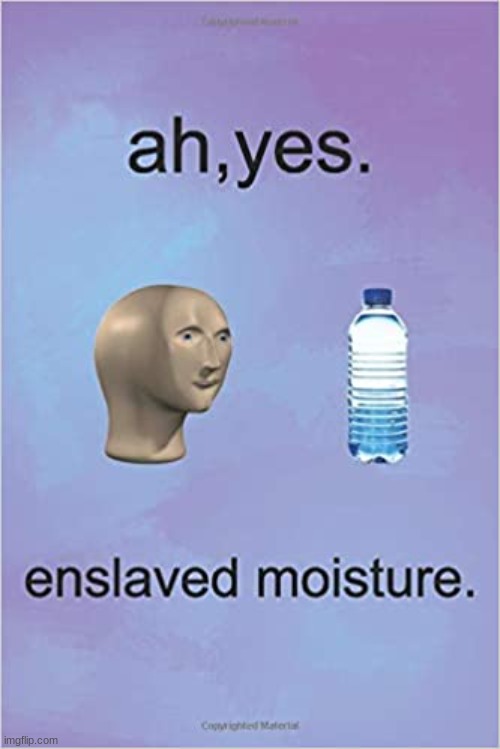 enslaved moisture | made w/ Imgflip meme maker