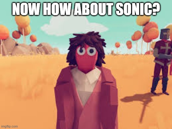 totally accurate battle simulator halflings turn | NOW HOW ABOUT SONIC? | image tagged in totally accurate battle simulator halflings turn | made w/ Imgflip meme maker