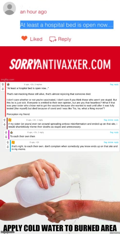 what if it was your sister? | image tagged in apply cold water to burned area,sorryantivaxxer,misinformation,covidiots,conservative logic,trump lost | made w/ Imgflip meme maker
