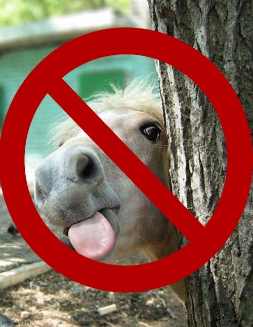 Banned Horses | image tagged in ban,horses | made w/ Imgflip meme maker