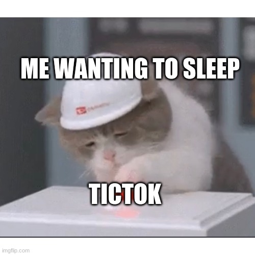 me at 3am | ME WANTING TO SLEEP; TICTOK | image tagged in cat pushing button | made w/ Imgflip meme maker