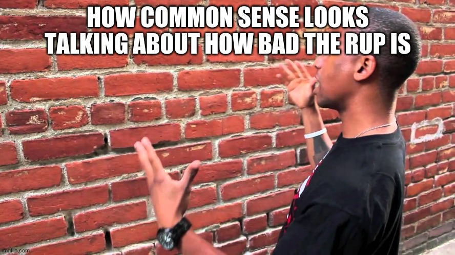 make a valid point instead of an insult, please | HOW COMMON SENSE LOOKS TALKING ABOUT HOW BAD THE RUP IS | image tagged in guy explaining to brick wall | made w/ Imgflip meme maker