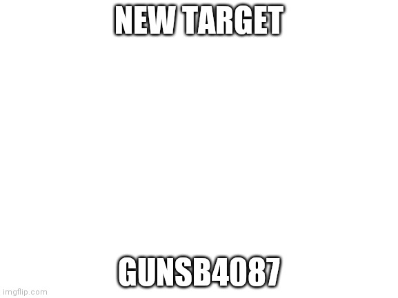 Blank White Template | NEW TARGET; GUNSB4087 | image tagged in blank white template | made w/ Imgflip meme maker
