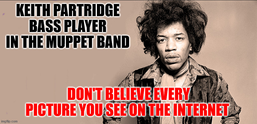 KEITH PARTRIDGE BASS PLAYER IN THE MUPPET BAND; DON'T BELIEVE EVERY PICTURE YOU SEE ON THE INTERNET | image tagged in internet pictures | made w/ Imgflip meme maker