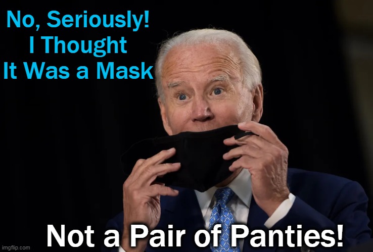 Do You Believe The Sniffer-in-Chief? | No, Seriously!
I Thought It Was a Mask; Not a Pair of Panties! | image tagged in politics,creepy joe biden,mask,panties,poor choices,put me down for a no | made w/ Imgflip meme maker