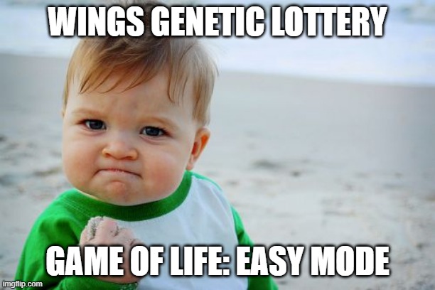 genetic lottery winner | WINGS GENETIC LOTTERY; GAME OF LIFE: EASY MODE | image tagged in memes,success kid original | made w/ Imgflip meme maker