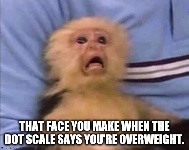 Frightened monkey | THAT FACE YOU MAKE WHEN THE DOT SCALE SAYS YOU'RE OVERWEIGHT. | image tagged in frightened monkey | made w/ Imgflip meme maker
