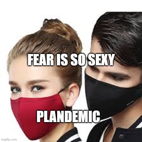 Mask Couple | FEAR IS SO SEXY; PLANDEMIC | image tagged in mask couple | made w/ Imgflip meme maker