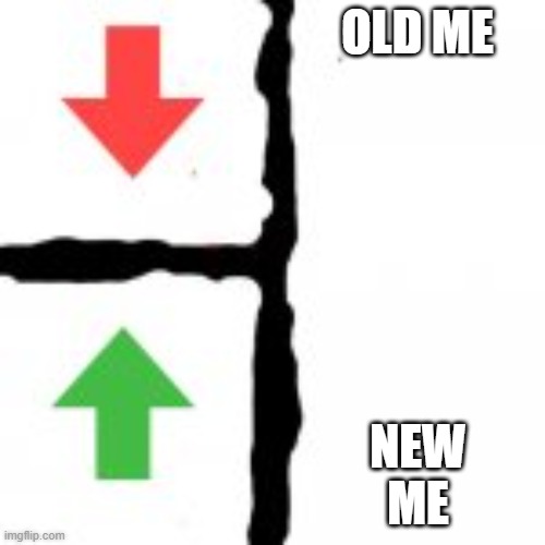 upvote vs downvote | OLD ME NEW ME | image tagged in upvote vs downvote | made w/ Imgflip meme maker