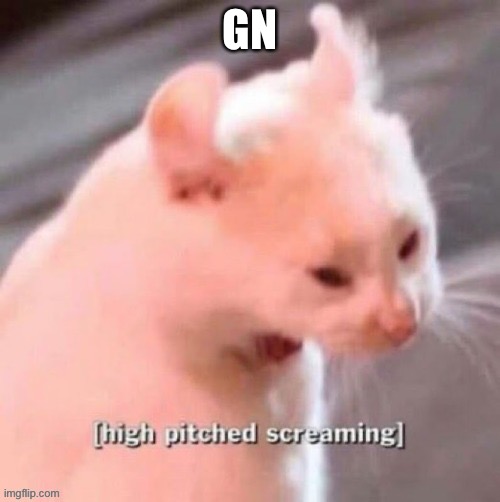 [high pitched screaming] | GN | image tagged in high pitched screaming | made w/ Imgflip meme maker