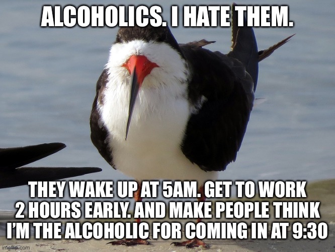 Even Less Popular Opinion Bird | ALCOHOLICS. I HATE THEM. THEY WAKE UP AT 5AM. GET TO WORK 2 HOURS EARLY. AND MAKE PEOPLE THINK I’M THE ALCOHOLIC FOR COMING IN AT 9:30 | image tagged in even less popular opinion bird,alcoholic,true story bro,funny,so true | made w/ Imgflip meme maker