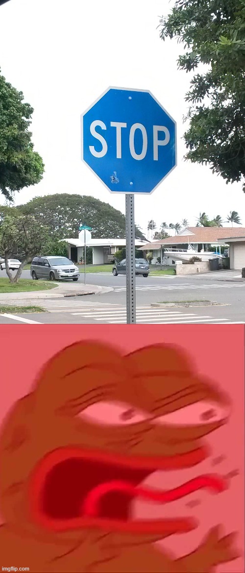 disgusting | image tagged in screaming pepe,blue stop sign,disgusting,cursed | made w/ Imgflip meme maker