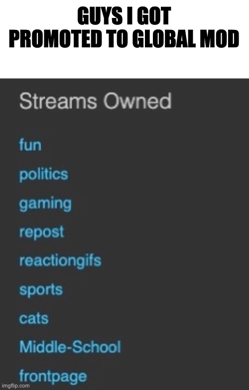 I am now a global mod | GUYS I GOT PROMOTED TO GLOBAL MOD | made w/ Imgflip meme maker