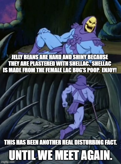 Disturbing Facts Skeletor | JELLY BEANS ARE HARD AND SHINY BECAUSE THEY ARE PLASTERED WITH SHELLAC.  SHELLAC IS MADE FROM THE FEMALE LAC BUG’S POOP.  ENJOY! THIS HAS BEEN ANOTHER REAL DISTURBING FACT. UNTIL WE MEET AGAIN. | image tagged in disturbing facts skeletor | made w/ Imgflip meme maker