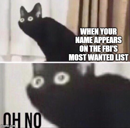 FBI OPEN UP! (Version 69.420) | WHEN YOUR NAME APPEARS ON THE FBI'S MOST WANTED LIST | image tagged in oh no cat,memes | made w/ Imgflip meme maker