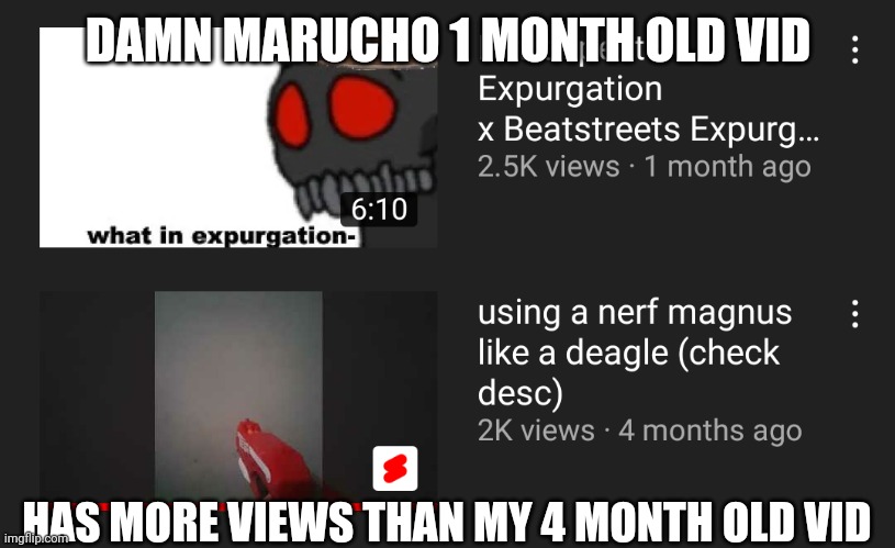 also he has more subs than me ._. | DAMN MARUCHO 1 MONTH OLD VID; HAS MORE VIEWS THAN MY 4 MONTH OLD VID | made w/ Imgflip meme maker