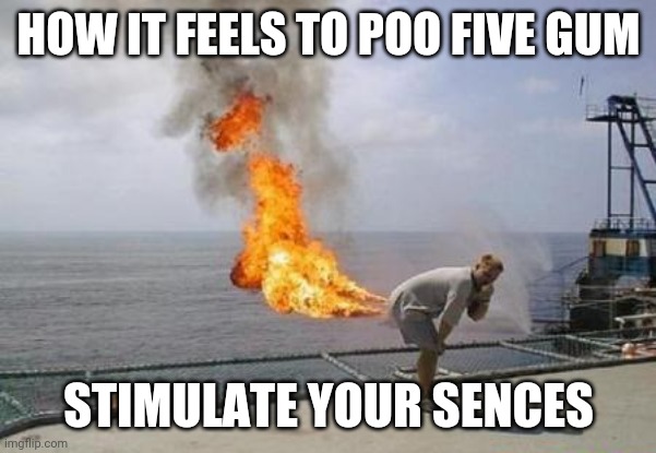 Don't swallow five gum | HOW IT FEELS TO POO FIVE GUM; STIMULATE YOUR SENCES | image tagged in funny | made w/ Imgflip meme maker