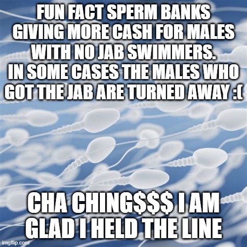 Sperm banks | FUN FACT SPERM BANKS GIVING MORE CASH FOR MALES WITH NO JAB SWIMMERS. IN SOME CASES THE MALES WHO GOT THE JAB ARE TURNED AWAY :(; CHA CHING$$$ I AM GLAD I HELD THE LINE | image tagged in sperm,sperm and egg | made w/ Imgflip meme maker