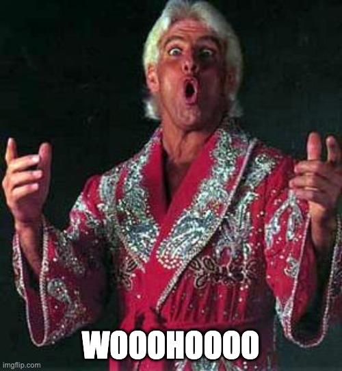 Ric Flair WOOOOOO | WOOOHOOOO | image tagged in ric flair woooooo | made w/ Imgflip meme maker