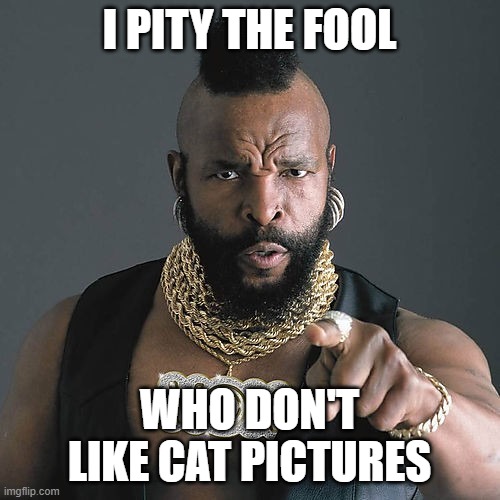 Mr T Pity The Fool Meme | I PITY THE FOOL WHO DON'T LIKE CAT PICTURES | image tagged in memes,mr t pity the fool | made w/ Imgflip meme maker