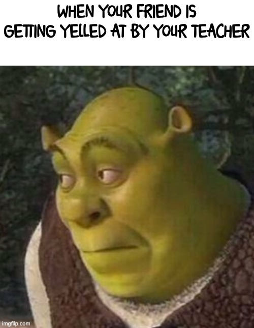 Hmm.. none of my business | WHEN YOUR FRIEND IS GETTING YELLED AT BY YOUR TEACHER | image tagged in awkward shrek | made w/ Imgflip meme maker