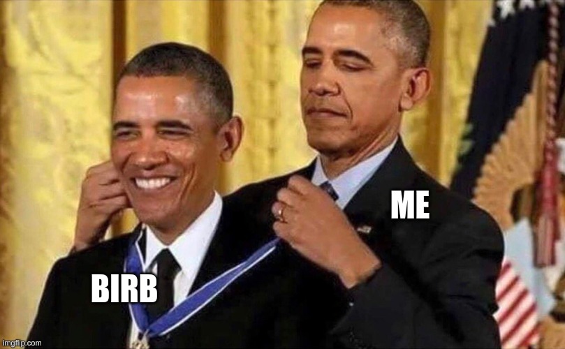 obama medal | ME BIRB | image tagged in obama medal | made w/ Imgflip meme maker