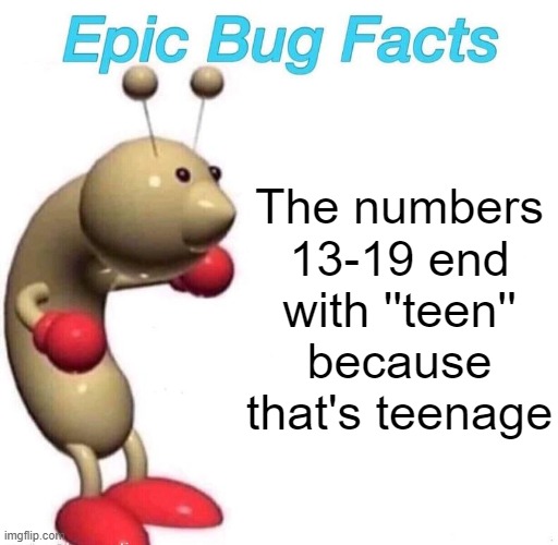 Epic Bug Facts | The numbers 13-19 end with ''teen'' because that's teenage | image tagged in epic bug facts | made w/ Imgflip meme maker