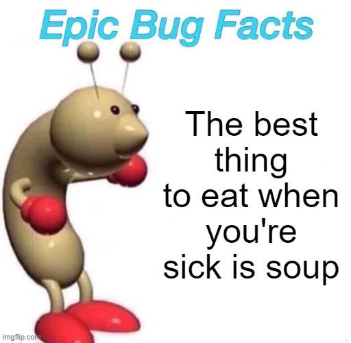 Epic Bug Facts | The best thing to eat when you're sick is soup | image tagged in epic bug facts | made w/ Imgflip meme maker