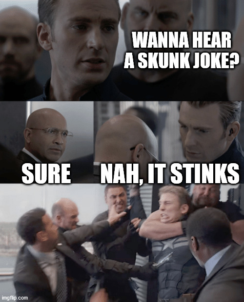 Cap | WANNA HEAR A SKUNK JOKE? SURE; NAH, IT STINKS | image tagged in captain america elevator | made w/ Imgflip meme maker