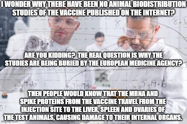 Find the European Medicine Agencies Animal Biodistribution Study! | I WONDER WHY THERE HAVE BEEN NO ANIMAL BIODISTRIBUTION STUDIES OF THE VACCINE PUBLISHED ON THE INTERNET? ARE YOU KIDDING?  THE REAL QUESTION IS WHY THE STUDIES ARE BEING BURIED BY THE EUROPEAN MEDICINE AGENCY? THEN PEOPLE WOULD KNOW THAT THE MRNA AND SPIKE PROTEINS FROM THE VACCINE TRAVEL FROM THE INJECTION SITE TO THE LIVER, SPLEEN AND OVARIES OF THE TEST ANIMALS, CAUSING DAMAGE TO THEIR INTERNAL ORGANS. | image tagged in scientists,mrna,vaccine,spike proteins,liver,ovaries | made w/ Imgflip meme maker