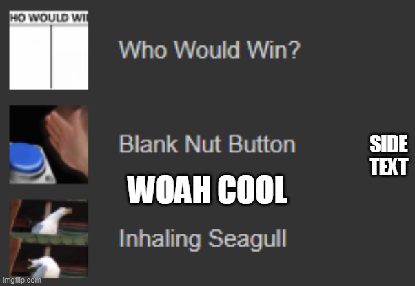 this wont be in the front page | SIDE TEXT; WOAH COOL | image tagged in who would win,blank nut button,inhaling seagull,stop reading the tags,adios | made w/ Imgflip meme maker